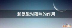 赖氨酸对猫咪的作用