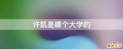 许凯是哪个大学的