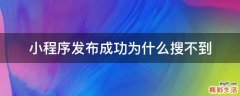 小程序发布成功为什么搜不到