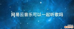 网易云音乐可以一起听歌吗