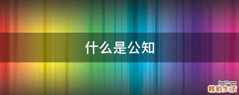 什么是公知