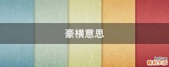 豪横意思