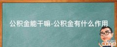 公积金能干嘛-公积金有什么作用