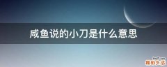 咸鱼说的小刀是什么意思
