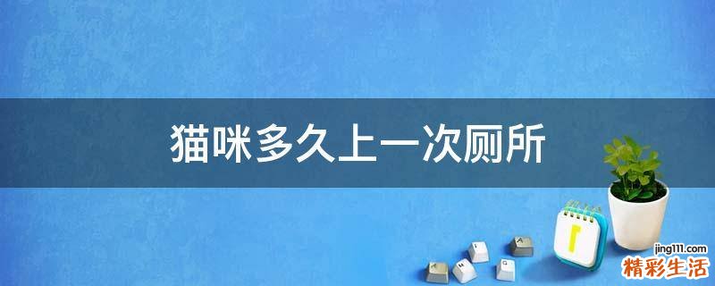 猫咪多久上一次厕所