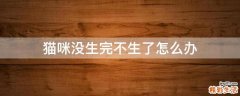 猫咪没生完不生了怎么办