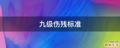 九级伤残标准
