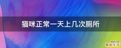 猫咪正常一天上几次厕所