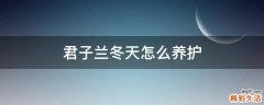 君子兰冬天怎么养护
