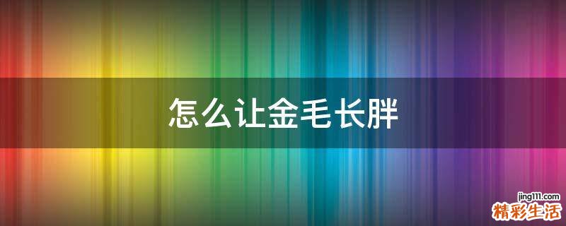 怎么让金毛长胖