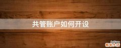 共管账户如何开设