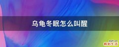 乌龟冬眠怎么叫醒