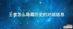 王者怎么隐藏历史的对战信息