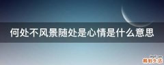 何处不风景随处是心情是什么意思