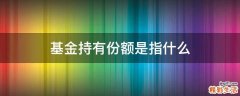 基金持有份额是指什么