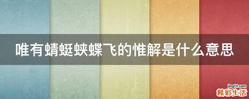 唯有蜻蜓蛱蝶飞的惟解是什么意思