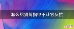 怎么给猫剪指甲不让它反抗