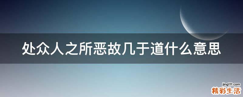 处众人之所恶故几于道什么意思