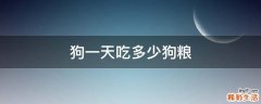狗一天吃多少狗粮