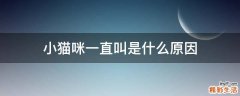 小猫咪一直叫是什么原因