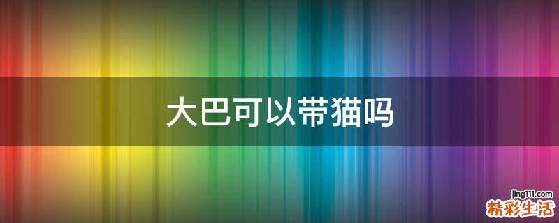 大巴可以带猫吗
