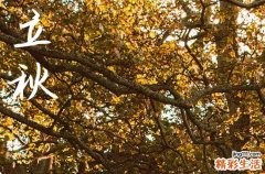 2023年8月8日立秋,今年是早立秋还是晚立秋