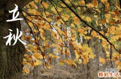 2023年立秋几时几分 立秋的传统习俗是什么