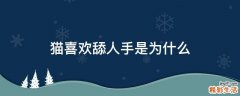 猫喜欢舔人手是为什么