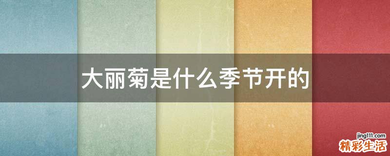 大丽菊是什么季节开的