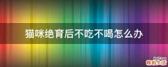 猫咪绝育后不吃不喝怎么办
