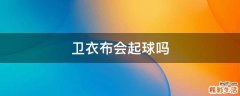 卫衣布会起球吗