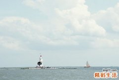 脂溢性脱发