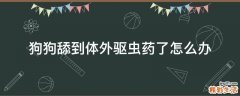 狗狗舔到体外驱虫药了怎么办