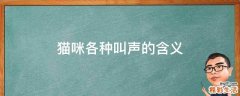 猫咪各种叫声的含义
