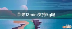 苹果12mini支持5g吗