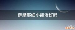 萨摩耶细小能治好吗