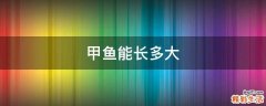 甲鱼能长多大