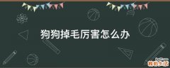 狗狗掉毛厉害怎么办
