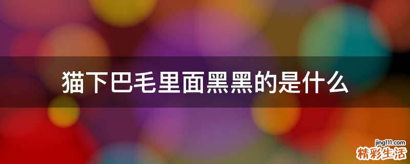 猫下巴毛里面黑黑的是什么