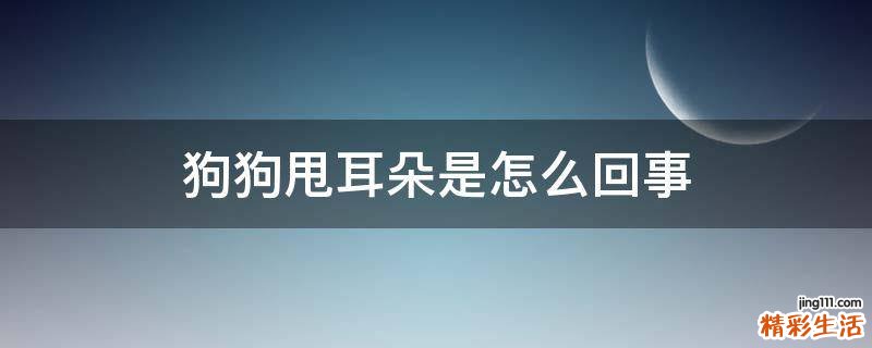 狗狗甩耳朵是怎么回事
