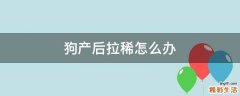 狗产后拉稀怎么办