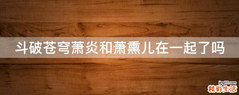 斗破苍穹萧炎和萧熏儿在一起了吗