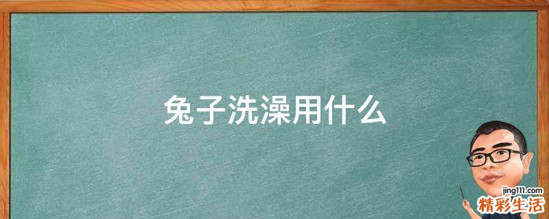 兔子洗澡用什么