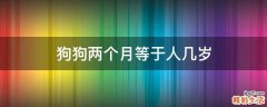 狗狗两个月等于人几岁