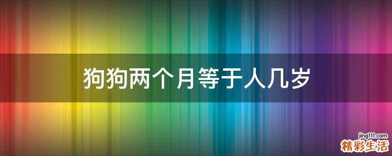 狗狗两个月等于人几岁