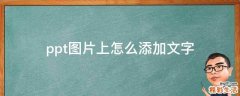 ppt图片上怎么添加文字