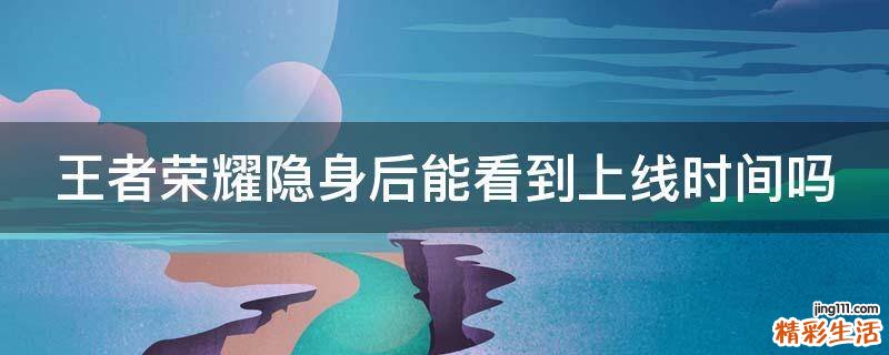 王者荣耀隐身后能看到上线时间吗