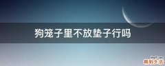 狗笼子里不放垫子行吗