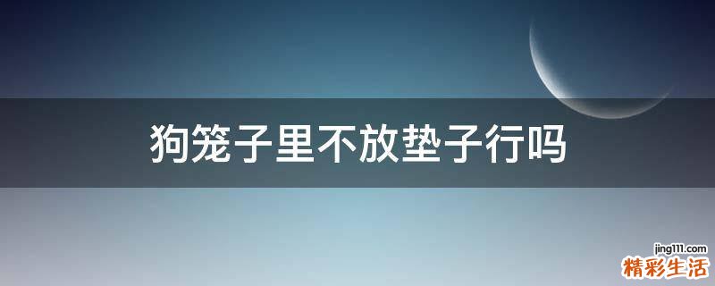 狗笼子里不放垫子行吗