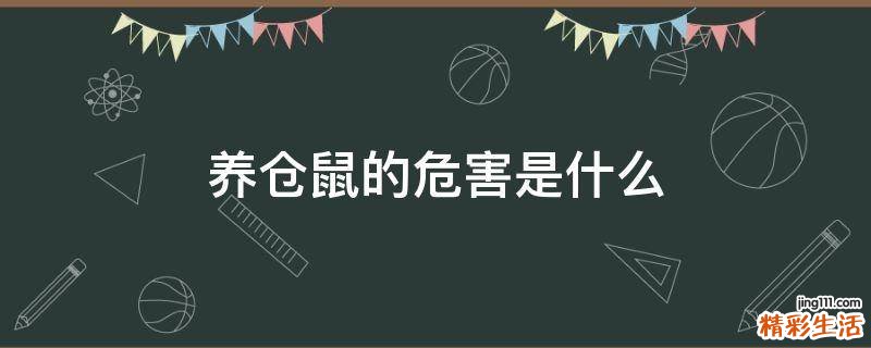 养仓鼠的危害是什么